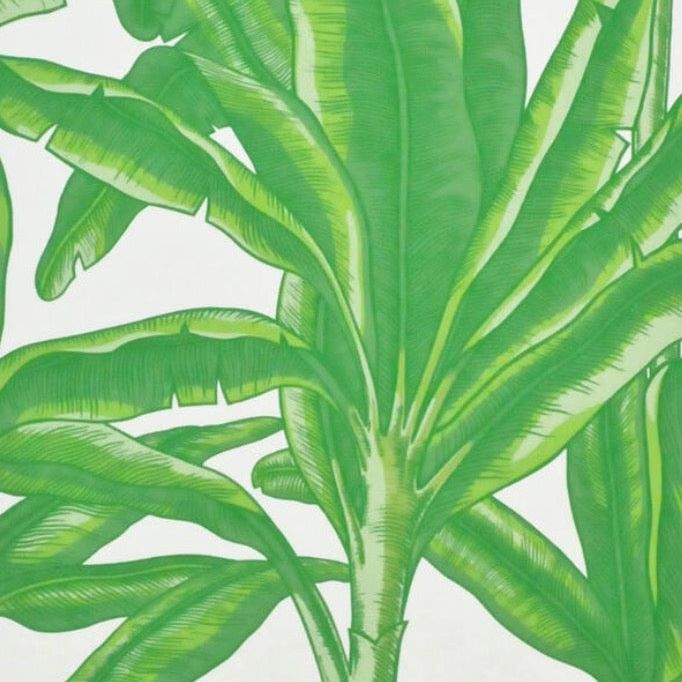 Clarence House Lyford Key- SAMPLE $5.00