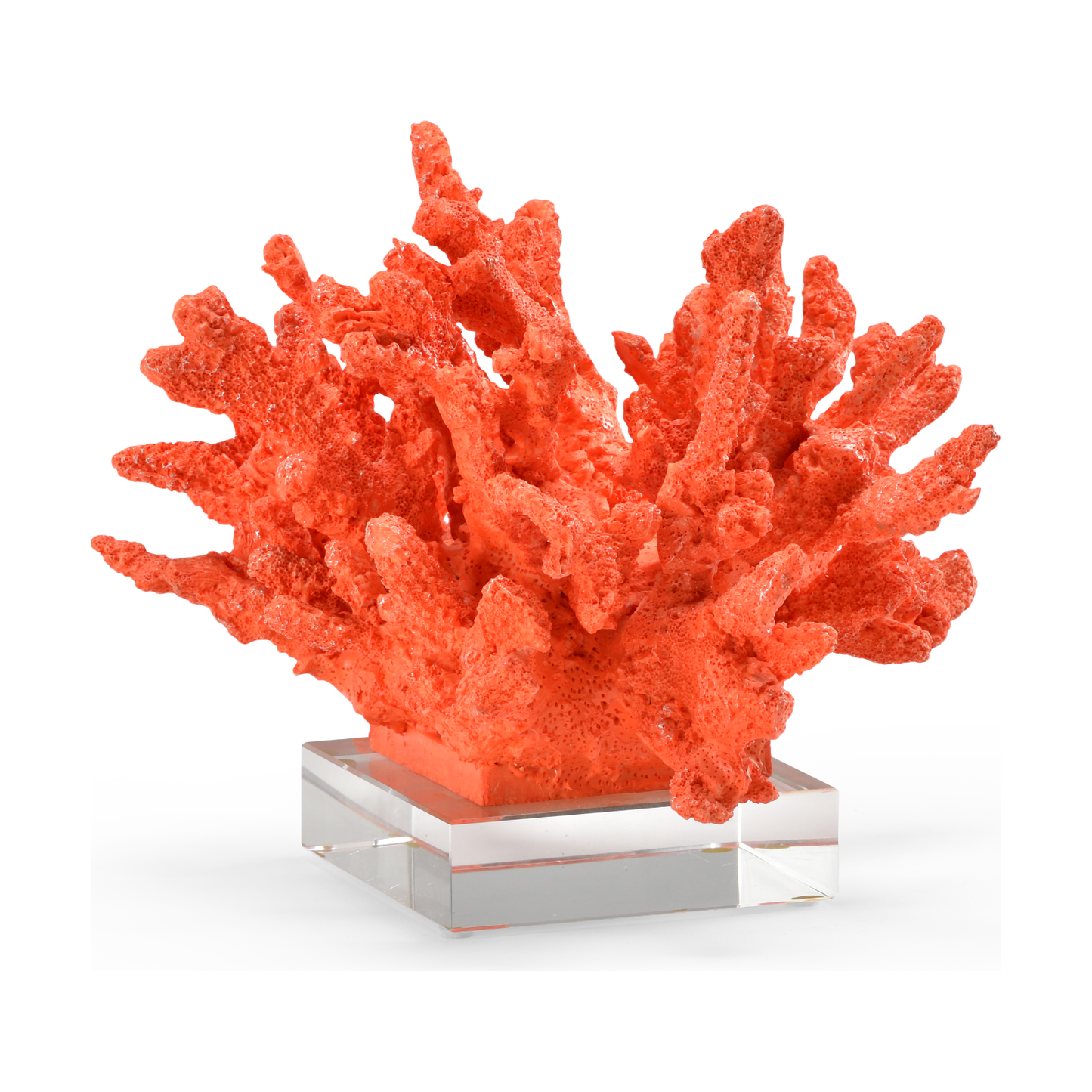 Coral Decor