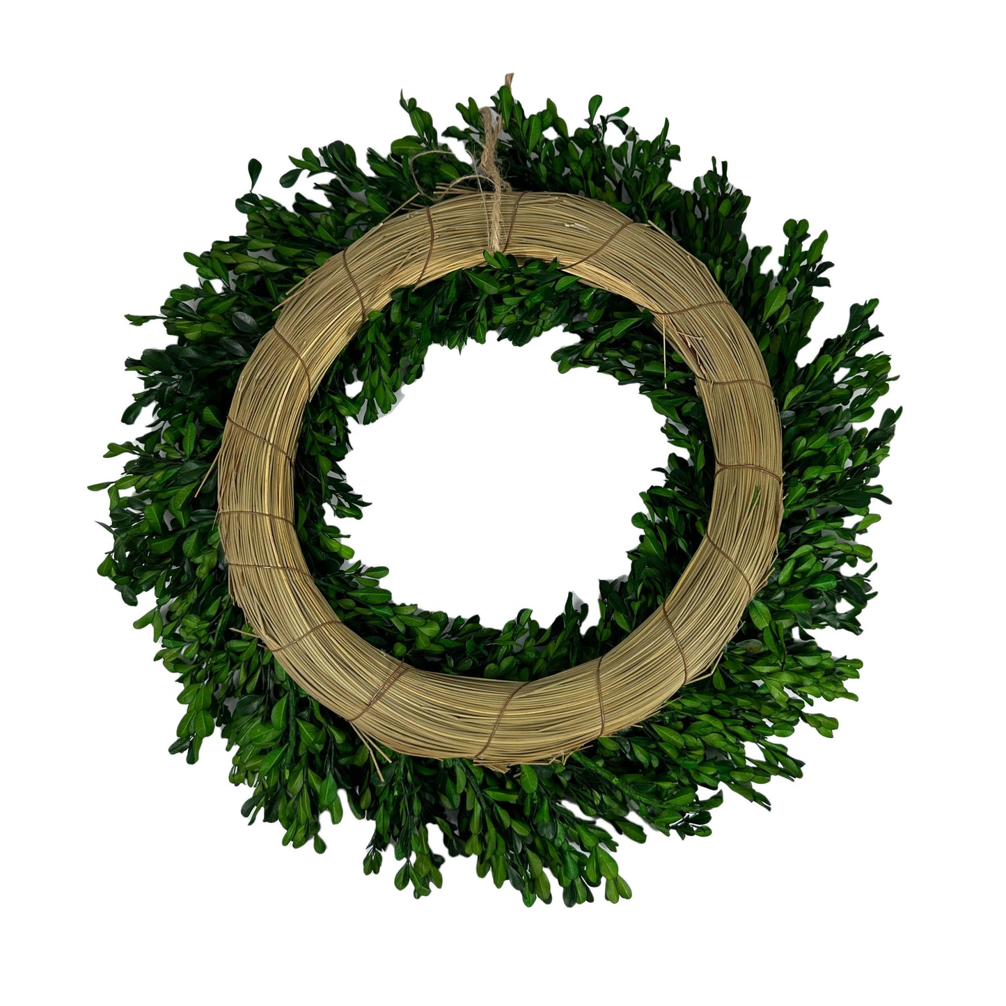 Naturally Preserved Green Boxwood Wreath 21" + Hanging Loop