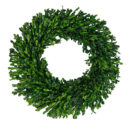 Naturally Preserved Green Boxwood Wreath 21" + Hanging Loop