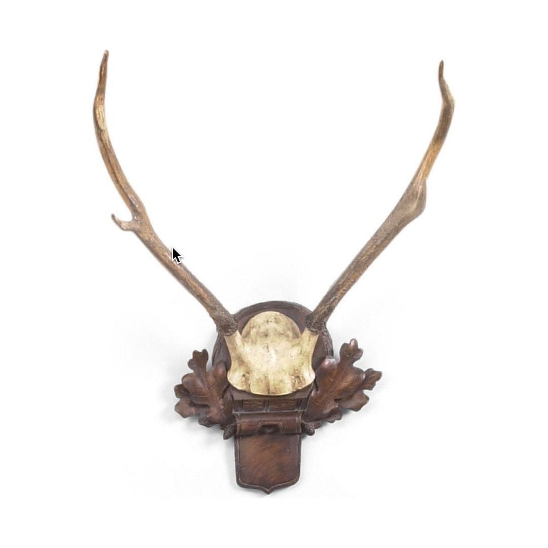 Chelsea House Deer Antlers – Timeless Elegance for Your Space