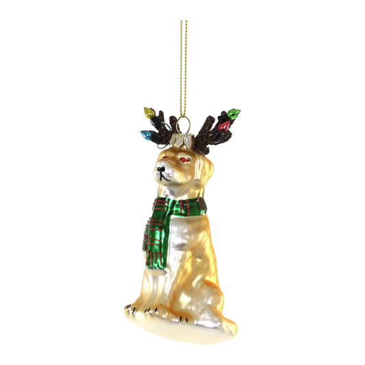 Cody Foster & CO Festive Lab Ornament