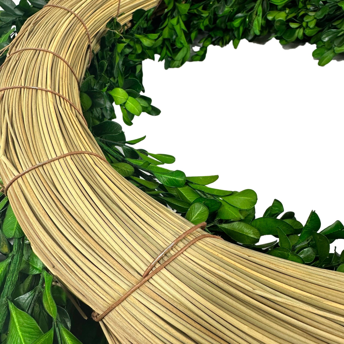 Naturally Preserved Green Boxwood Wreath 21" + Hanging Loop